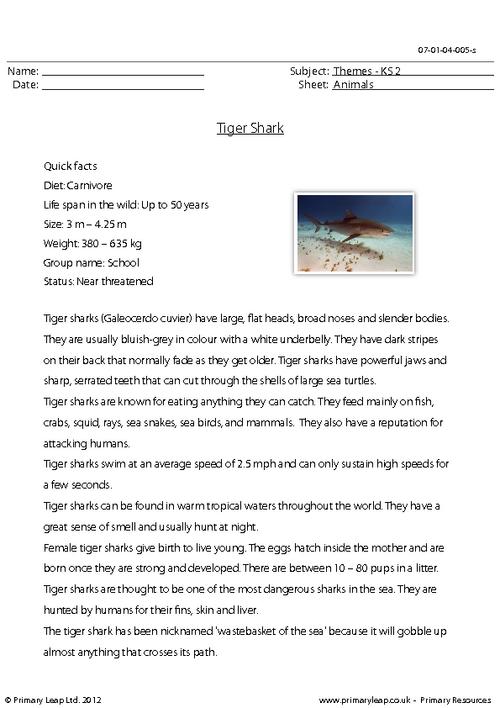 Reading comprehension - Tiger shark